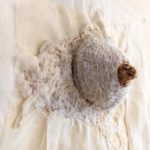 Isabelle Piron